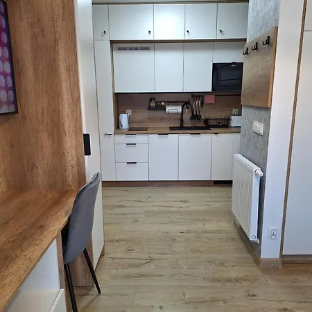 アパート Centrum Parking-storczyk 28m クリニツァ・ズドルイ