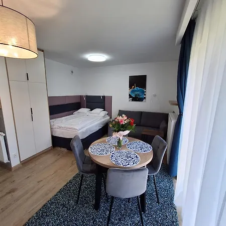 Apartment Centrum Parking-storczyk 28m Krynica Zdroj