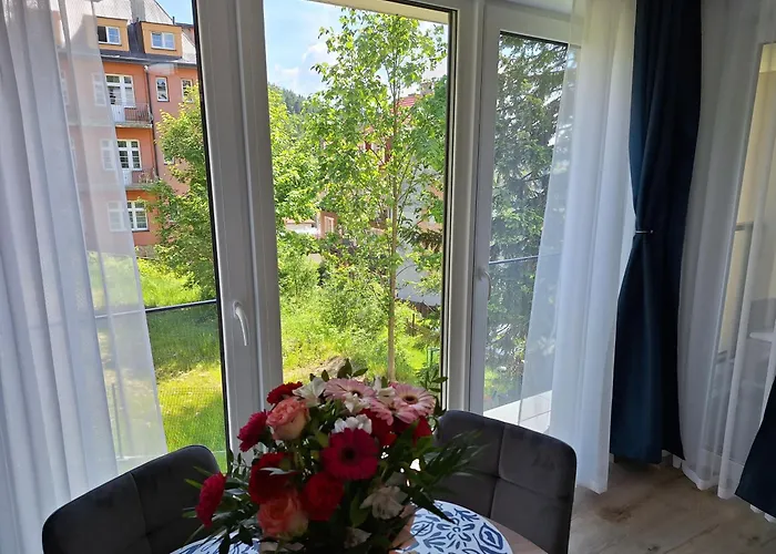 Appartement Centrum Parking-storczyk 28m